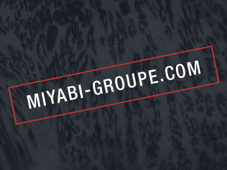 Nouveau site Miyabi Groupe