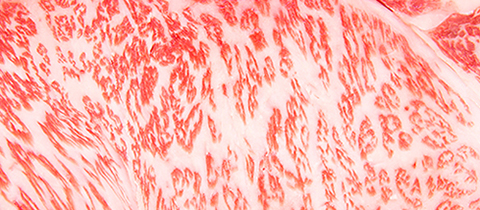 MIYABI c’est l’excellence du bœuf Wagyu